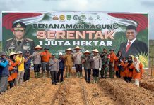 Dukung Swasembada Pangan Nasional, Polres Rohul Tanam Jagung