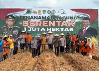 Dukung Swasembada Pangan Nasional, Polres Rohul Tanam Jagung