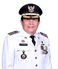 Rohul Tiga Besar di Riau, Hasil SPI KPK