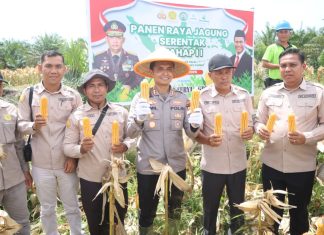 Dorong Swasembada Pangan, Kapolres Rohul Panen Jagung