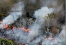 Riau Menyumbang Titik Panas Terbanyak di Sumatera