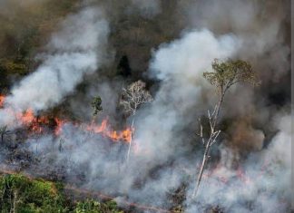 Riau Menyumbang Titik Panas Terbanyak di Sumatera