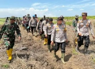 Kapolda Riau Cari Pelaku Pembakaran Lahan 100 Ha di Rohil