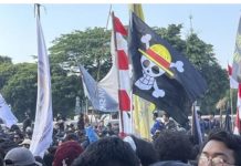 Jelang 17 Agustus, Bendera One Piece Dikibarkan