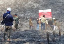 Karhutla, 10 Perusahan Besar Disegel, Termasuk Riau