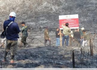 Karhutla, 10 Perusahan Besar Disegel, Termasuk Riau