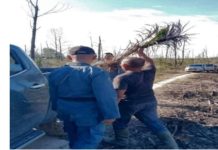 Tanam Sawit di Lahan Terbakar, Warga Masuk Rutan