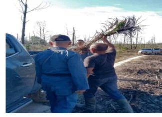 Tanam Sawit di Lahan Terbakar, Warga Masuk Rutan