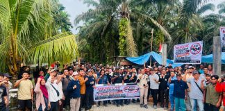 Masyarakat Kepenuhan Resah, Isu Kedatangan KSO PT Kalingga 77, Minta Aparat Cegah Potensi Konflik