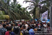 Ratusan Petani dan Koperasi di Kecamatan Kepenuhan Tolak Klaim Lahan oleh Pemegang KSO PT Kalingga 77