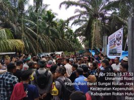 Ratusan Petani dan Koperasi di Kecamatan Kepenuhan Tolak Klaim Lahan oleh Pemegang KSO PT Kalingga 77