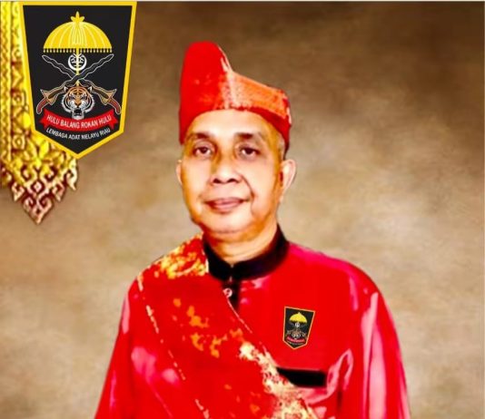 Latar Belakang Suparman Dipertanyakan, Panglimo Porang Hulubalang LAMR Rohul Sebut Suparman Orang Melayu
