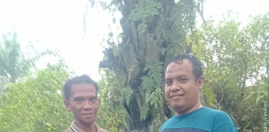 Petani Teluk Aur Klaim Land Application PT KSM Tingkatkan Produktivitas Sawit