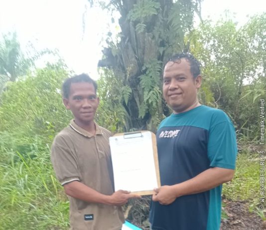 Petani Teluk Aur Klaim Land Application PT KSM Tingkatkan Produktivitas Sawit